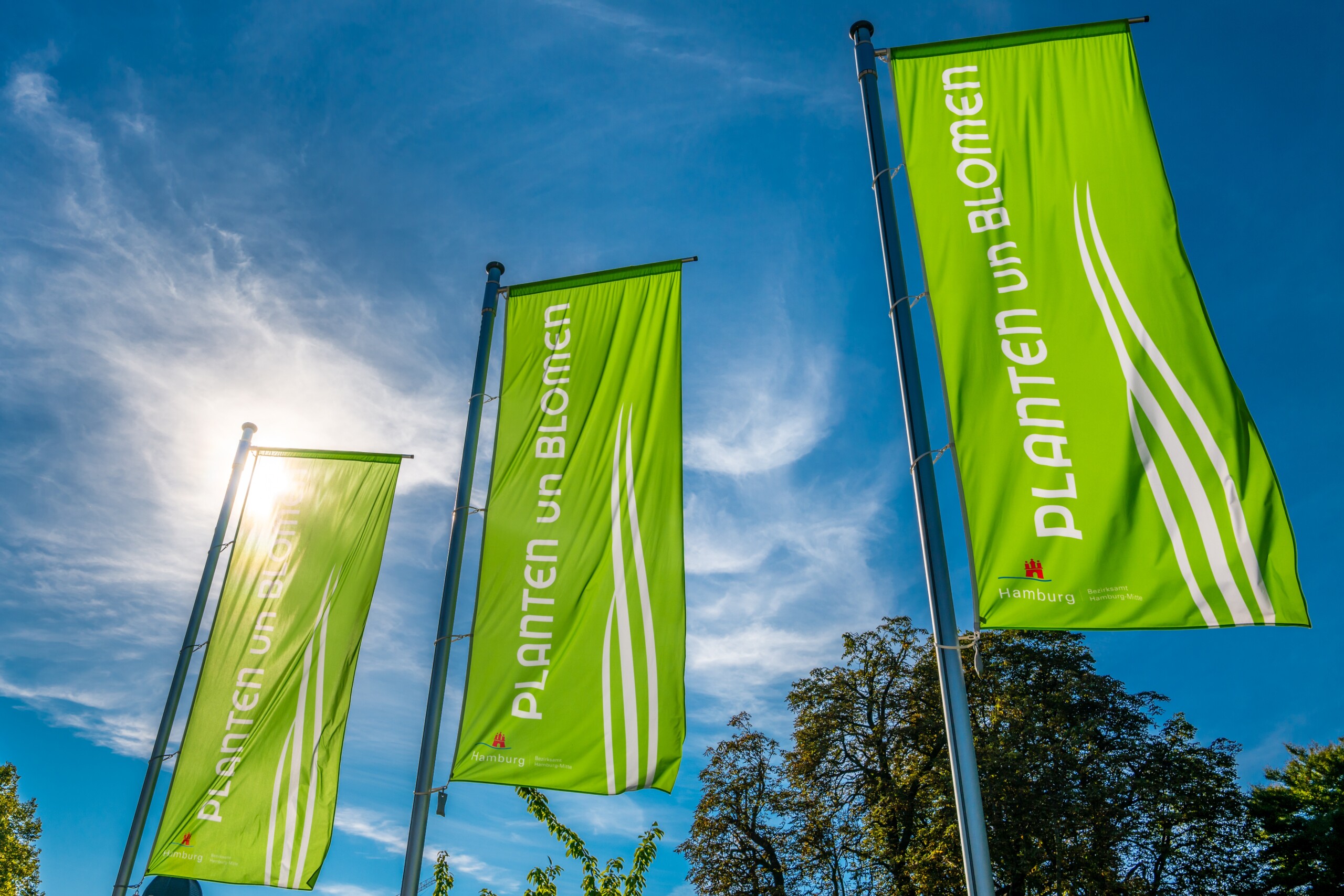 Hamburg,,Germany,-,October,9,,2021:,Flags,At,The,Entrance